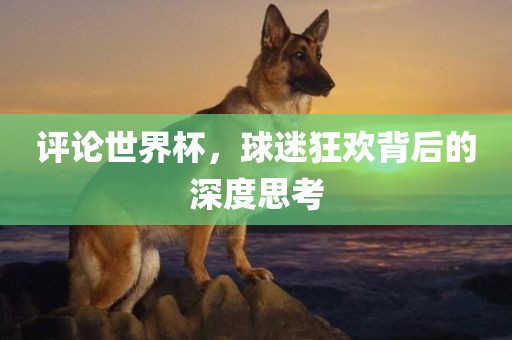 评论世界杯，球迷狂欢背后的深度思考