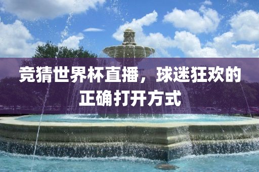 竞猜世界杯直播，球迷狂欢的正确打开方式衡水勇创橡塑制品有限公司