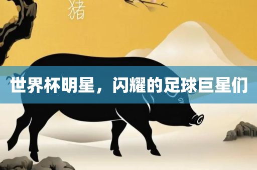 世界杯明星，衡水勇创橡塑制品有限公司闪耀的足球巨星们