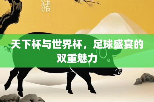 天下杯与世界杯，足球盛宴的双重魅力