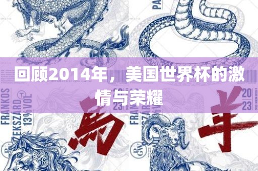 回顾2014年，美国世界杯的激情与荣耀