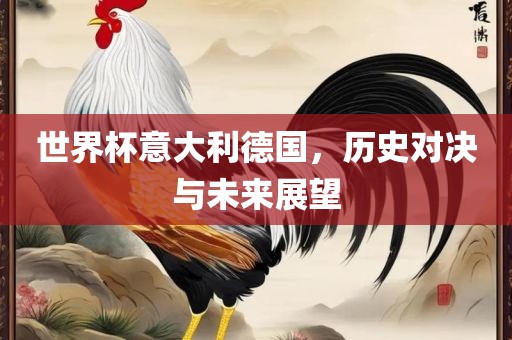 世界杯意大利德国，历史对决与未来展望衡水勇创橡塑制品有限公司