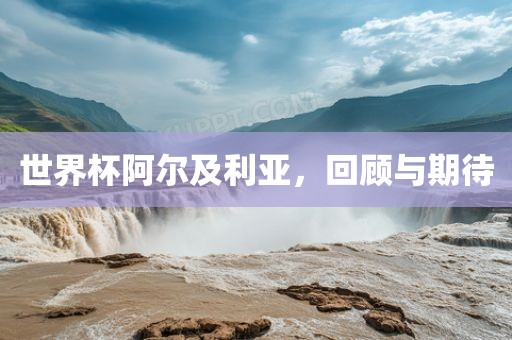 世界杯阿尔及利亚，回顾与期待