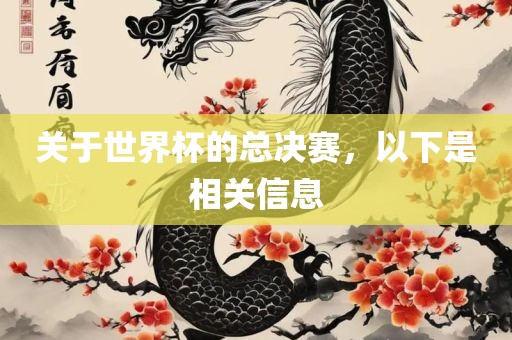 关于世界杯的总决赛，以下是相关信息