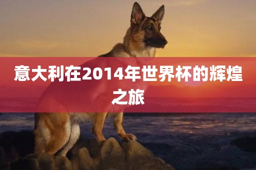 意大利在2014年世界杯的辉煌之旅