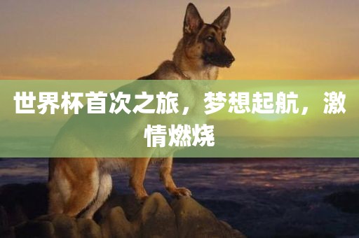 世界杯首次之旅，梦想起航，激情燃烧衡水勇创橡塑制品有限公司
