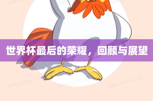 世界杯最后的荣耀，回顾与展望