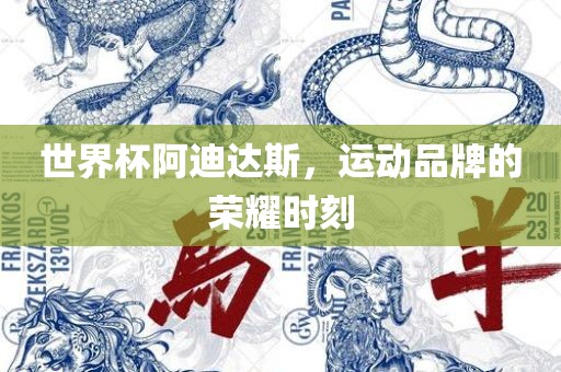 世界杯阿迪达斯，运动品牌的荣耀时刻衡水勇创橡塑制品有限公司