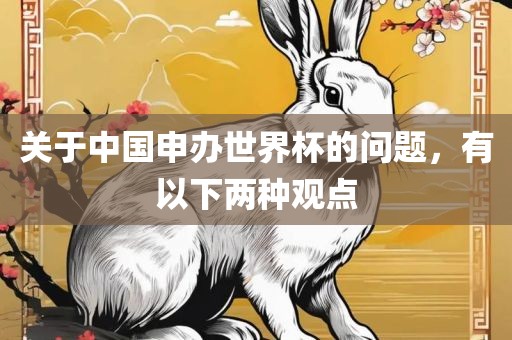 关于中国申办世界杯的问题，有以下两种观点衡水勇创橡塑制品有限公司