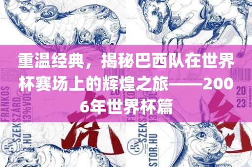 重温经典，揭秘巴西队在世界杯赛场上的辉煌之旅——2006年世界杯篇