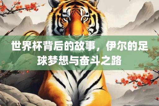 世界杯背后的故事，伊尔的足球梦想与奋斗之路衡水勇创橡塑制品有限公司