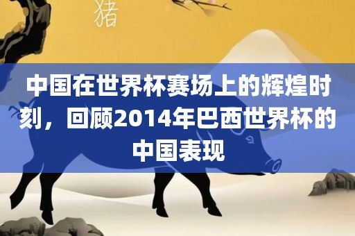 中国在世界杯赛场上的辉煌时刻，回顾2014年巴西世界杯的中国表现