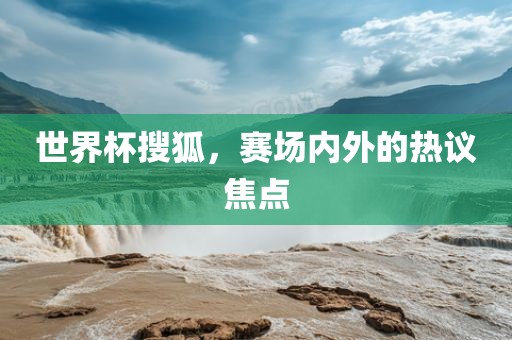 世界杯搜狐，赛场内外的热议焦点衡水勇创橡塑制品有限公司