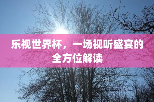 乐视世界杯，一场视听盛宴的全方位解读