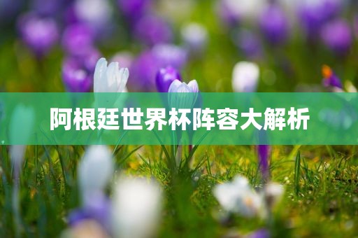 阿根廷世界杯阵容大解析