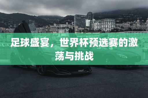 足球盛宴，世界杯预选赛的激荡与挑战