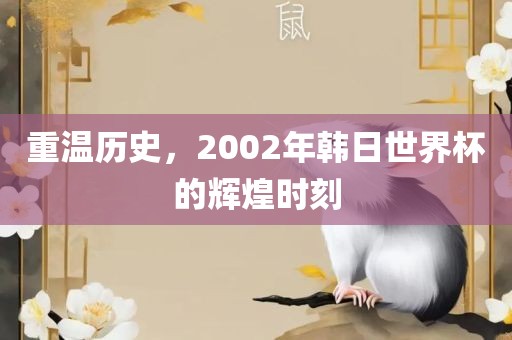重温历史，2002年韩日世界杯的辉煌时刻