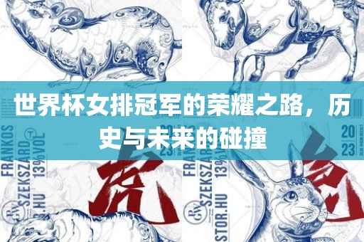 世界杯女排冠军的荣耀之路，历史与未来的碰撞