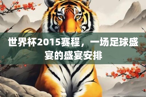 世界杯2015赛程，一场足球盛宴的盛宴安排