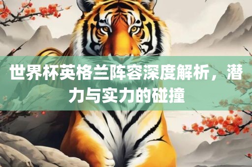 世界杯英格兰阵容深度解析，潜力与实力的碰撞