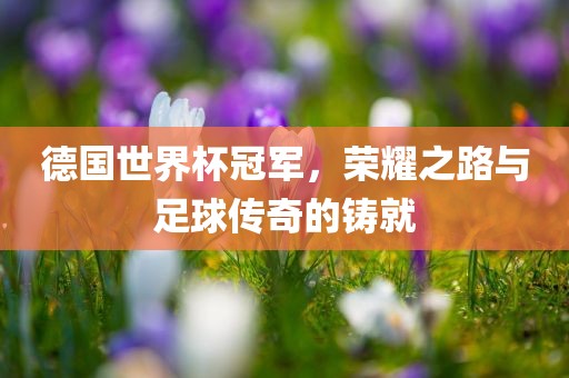 德国世界杯冠军，荣耀之路与足球传奇的铸就