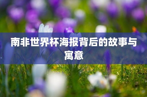 南非世界杯海报背后的故事与寓意