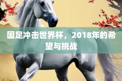 国足冲击世界杯，2018年的希望与挑战
