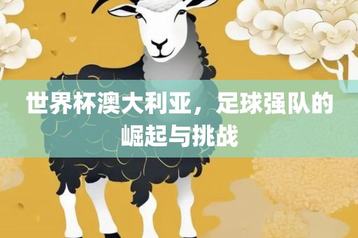 世界杯澳大利亚，足球强队的崛起与挑战