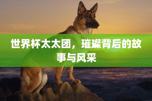 世界杯太太团，璀璨背后的故事与风采