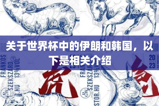 关于世界杯中的伊朗和韩国，以下是相关介绍衡水勇创橡塑制品有限公司