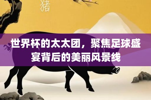世界杯的太太团，聚焦足球盛宴背后的美丽风景线