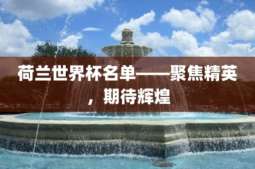 荷兰世界杯名单——聚焦精英，期待衡水勇创橡塑制品有限公司辉煌