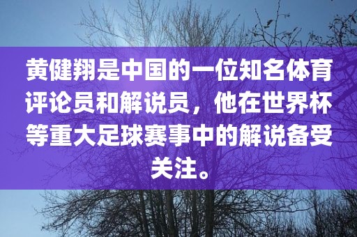 黄健翔是中国的一位知名体育评论员和解说员，他在世界杯等重大足球赛事中的解说备受关注。