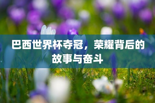 巴西世界杯夺冠，荣耀背后的故事与奋斗衡水勇创橡塑制品有限公司