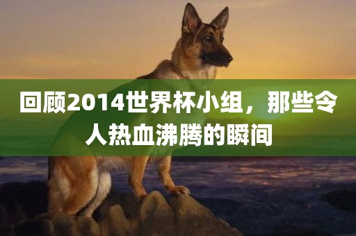 回顾2014世界杯小组，那些令人热血沸腾的瞬间衡水勇创橡塑制品有限公司