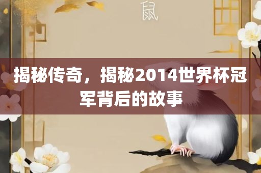 揭秘传奇，揭秘2014世界杯冠军背后的故事