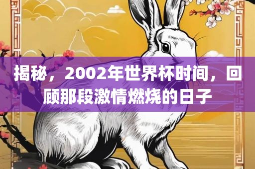 揭秘，2002年世界杯时间，回顾那段激情燃烧的日子