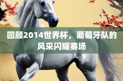 回顾2014世界杯，葡衡水勇创橡塑制品有限公司萄牙队的风采闪耀赛场