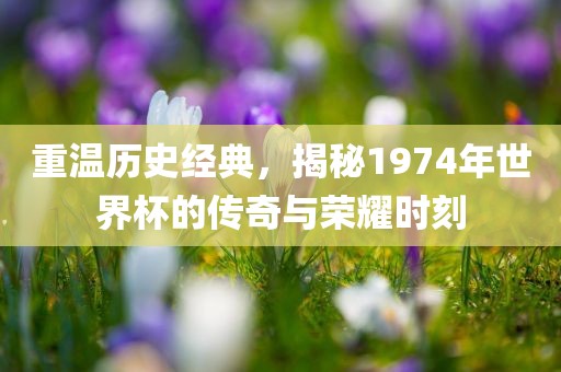 重温历衡水勇创橡塑制品有限公司史经典，揭秘1974年世界杯的传奇与荣耀时刻