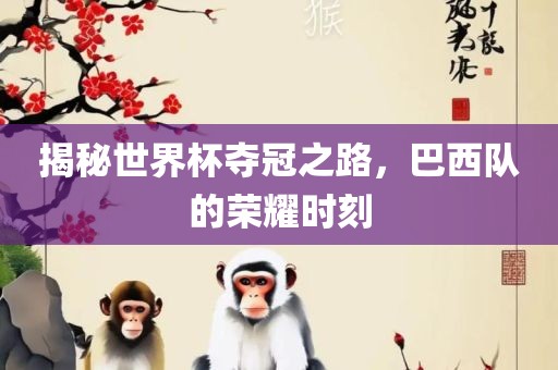 揭秘世界杯夺冠之路，巴西队的荣耀时刻衡水勇创橡塑制品有限公司