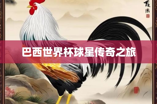 巴西世界杯球星传奇之旅