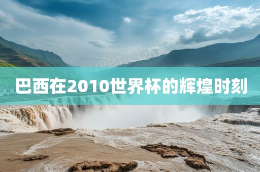 巴西在2010世界杯的辉煌时刻衡水勇创橡塑制品有限公司