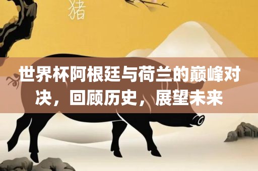 世界杯阿根廷与荷兰的巅峰对决，回顾历史，展望未来