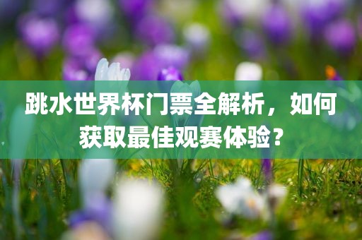 跳水世界杯门票全解析，如何获取最佳观赛体验？