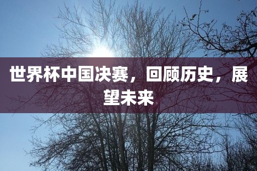 世界杯中国决赛，回顾历史，展望未来