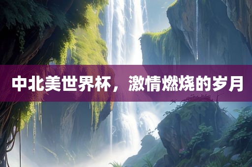 中北美世界杯，激情燃烧的岁月
