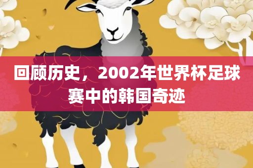 回顾历史，2002年世界杯足球赛中的韩国奇迹