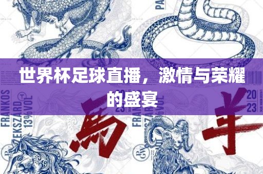 世界杯足球直播，激情与荣耀的盛宴