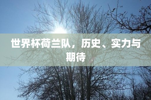 世界杯荷兰队，历史、实力与期待