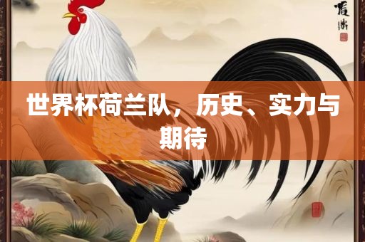 世界杯荷兰队，历史、实力与期待